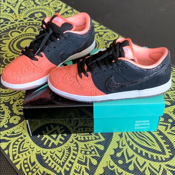 nike sb fish ladder
